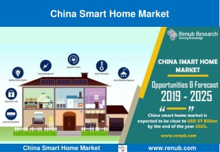 China Smart Home Market Growth