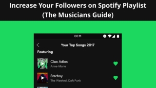 Increase Your Followers On Spotify Playlist (The Musicians Guide)