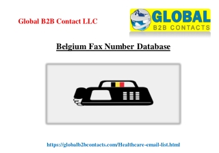 Belgium Fax Number Database