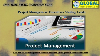 Project Management Executives Mailing Leads