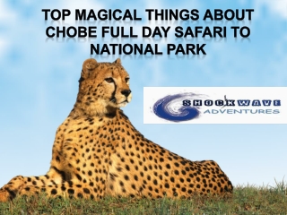 Top Magical things about Chobe Full Day Safari to National Park