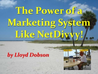 The Power of a Marketing System! NetDivvy Is The Answer