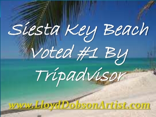 SIesta Key Beach Voted #1 By Tripadvisor