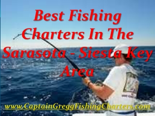 Best Fishing Charters In The Sarasota – Siesta Key Area