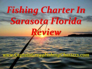 Fishing Charter In Sarasota Florida Review
