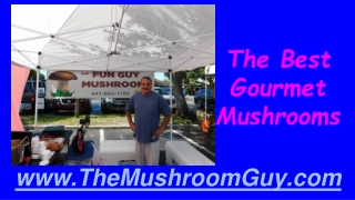 The Best Gourmet Mushrooms