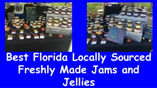 Best Florida Locally Sourced Freshly Made Jams and Jellies