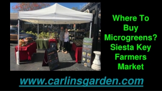 Where To Buy Microgreens Siesta Key Farmers Market