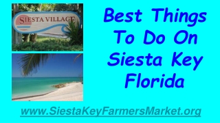 Best Things To Do On Siesta Key, Florida