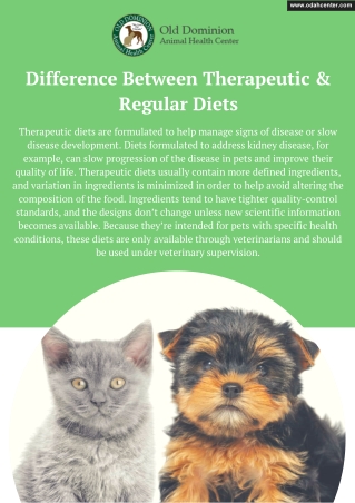 Difference Between Therapeutic and Regular Diets