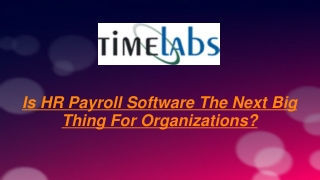 Is HR Payroll Software The Next Big Thing For Organisations?