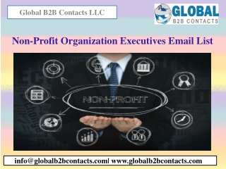 Non-Profit Organization Executives Email List