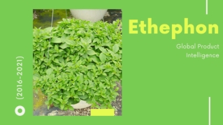 Ethephon global Product Intelligence Market Segment and Forecasts