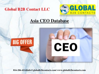 Asia CEO Database