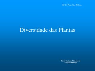 Diversidade das Plantas