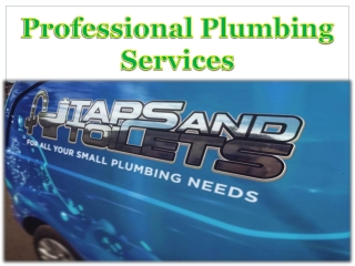 Professional Plumbing Services
