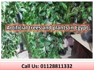 Artificial trees and plants in Egypt