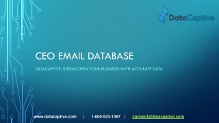 Where can I find the best CEO Email Database in the USA?