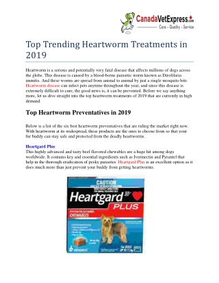 Best and Cheap Heartworm Treatments in 2019 - CanadaVetExpress