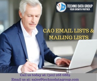 CAO Email Lists & Mailing Lists | chief administrative and operating officer email lists in USA