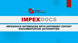 Important Questions about IMPEXDOCS Answered