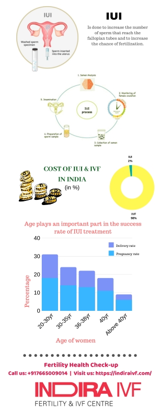 IUI Cost In India