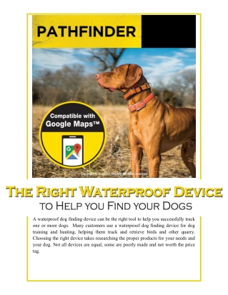 The Right Waterproof Device to Help you Find your Dogs