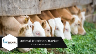 GLOBAL ANIMAL NUTRITION MARKET | TRENDS, ANALYSIS, FORECAST 2019-2027