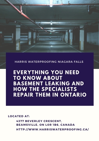 Everything you need to know about basement leaking and how the specialists repair them in Ontario