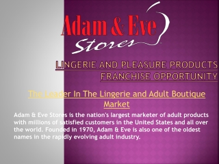 Lingerie and Pleasure Products Franchise Opportunity