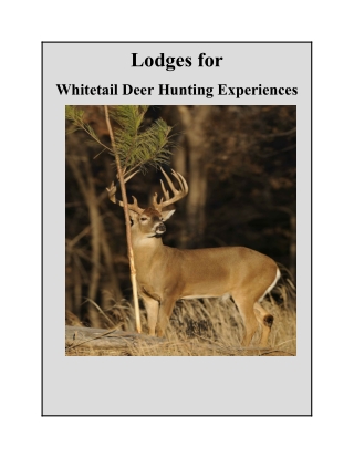 Lodges for Whitetail Deer Hunting Experiences