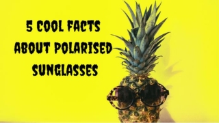 5 Cool Facts About Polarised Sunglasses