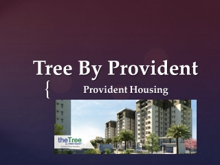 The Tree By Provident