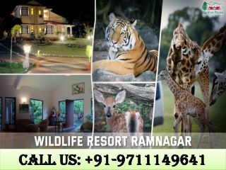 Wildlife Resort Ramnagar