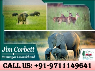 Jim Corbett Ramnagar Uttarakhand
