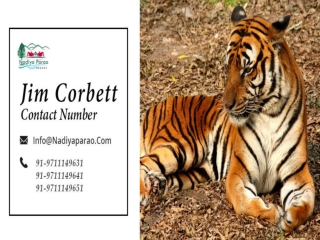 Jim Corbett Contact Number