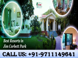 Best Resorts In Jim Corbett Park