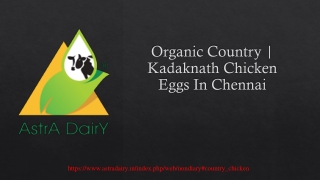Organic Country | Kadaknath Chicken Eggs In Chennai.