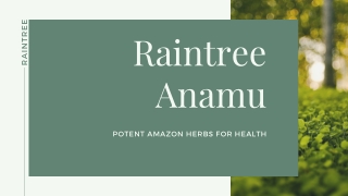 Immune Boosting herbs raintree anamu benefits