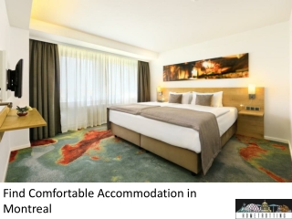Find Comfortable Accommodation in Montreal