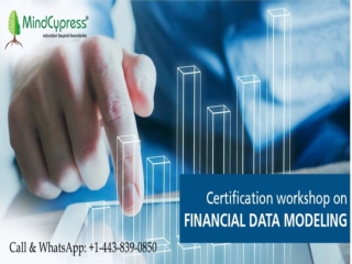 Online Financial Modeling, Online Finance Courses MindCypressPPT