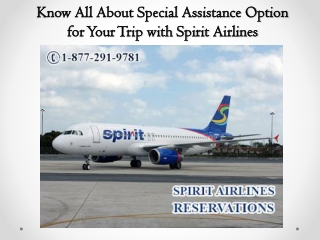 Know All About Special Assistance Option for Your Trip with Spirit Airlines
