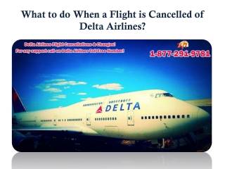 What to do when a Flight is cancelled of Delta Airlines?