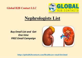 Nephrologists List