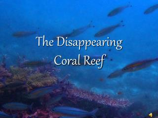 The Disappearing Coral Reef