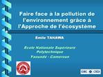 Faire face la pollution de l environnement gr ce l Approche de l cosyst me