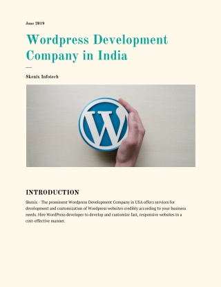 Wordpress Development Company in India