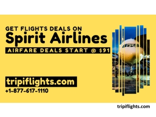 Book Spirit Airlines Flights Tickets - Tripiflights | Must See!