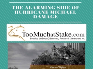 To know more about Hurricane Insurance Claims from the toomuchatstake.com