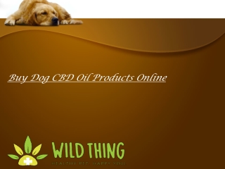 Buy Dog CBD Oil Products Online